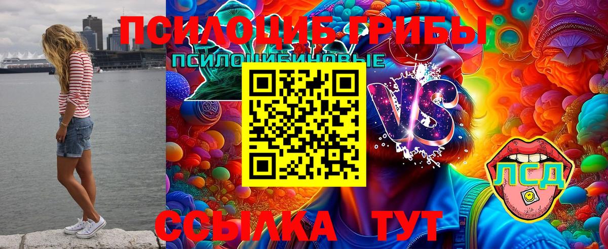 Кудымкар  Галлюциногенные грибы Cubensis  Вход с VPN 